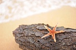 a star at beach